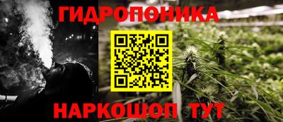 трава Будённовск