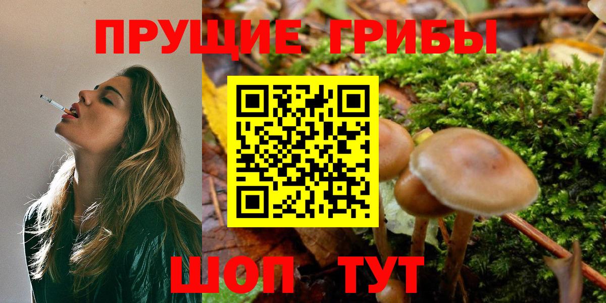 закладка  Вход с VPN  Саратов  Галлюциногенные грибы мухоморы  Галлюциногенные грибы прущие грибы 