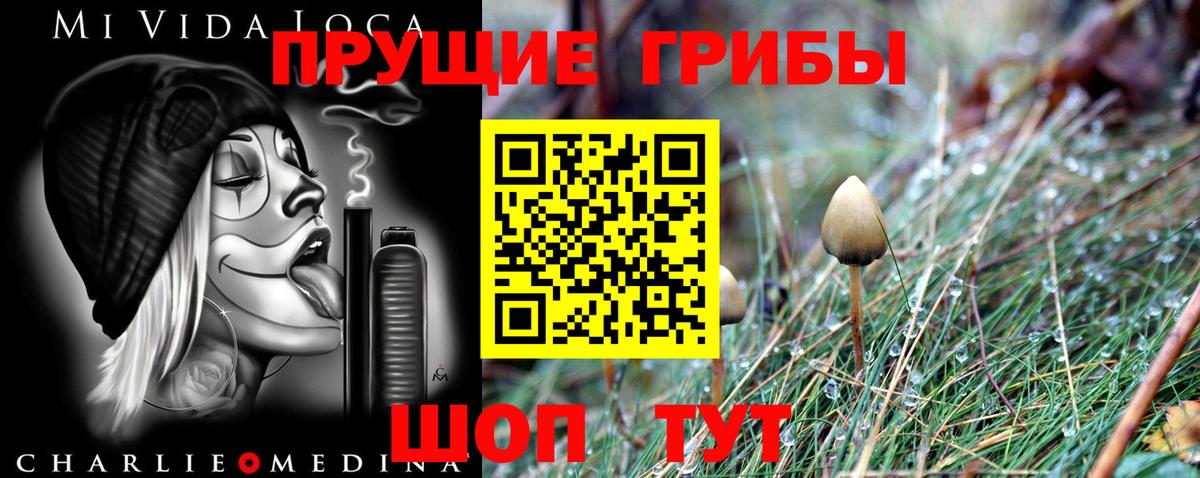 Галлюциногенные грибы Psilocybine cubensis Саратов