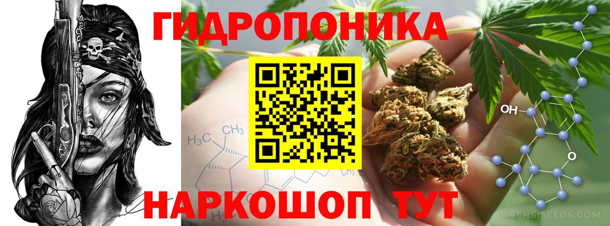 Бошки марихуана план Саратов